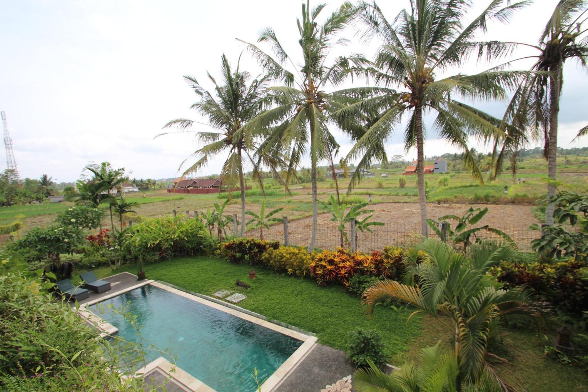 Uma Capung Mas Cottage Ubud Zewnętrze zdjęcie