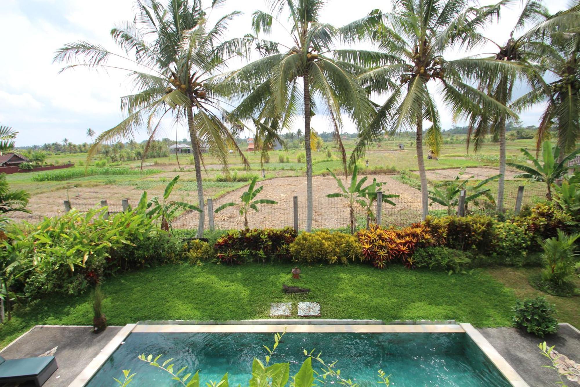 Uma Capung Mas Cottage Ubud Zewnętrze zdjęcie