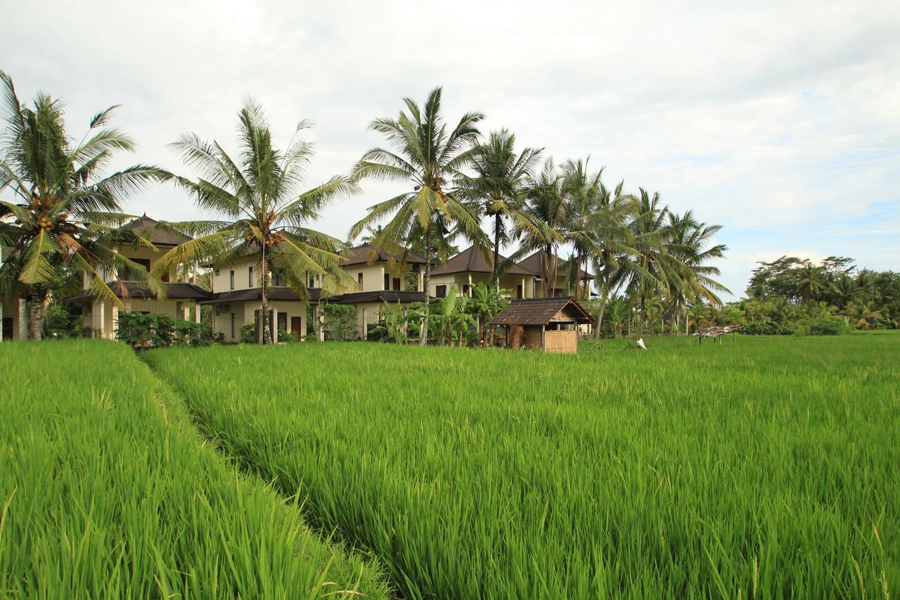 Uma Capung Mas Cottage Ubud Zewnętrze zdjęcie